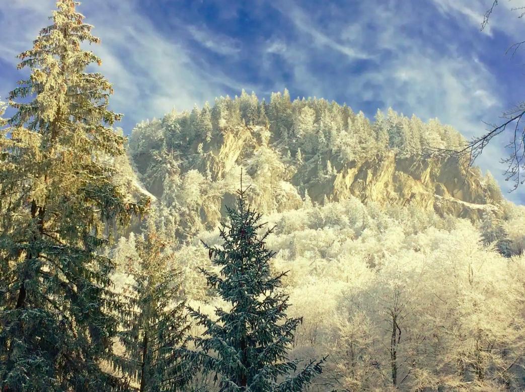 Kunst- Und Naturfreundehaus Bruenig Lungern ภายนอก รูปภาพ