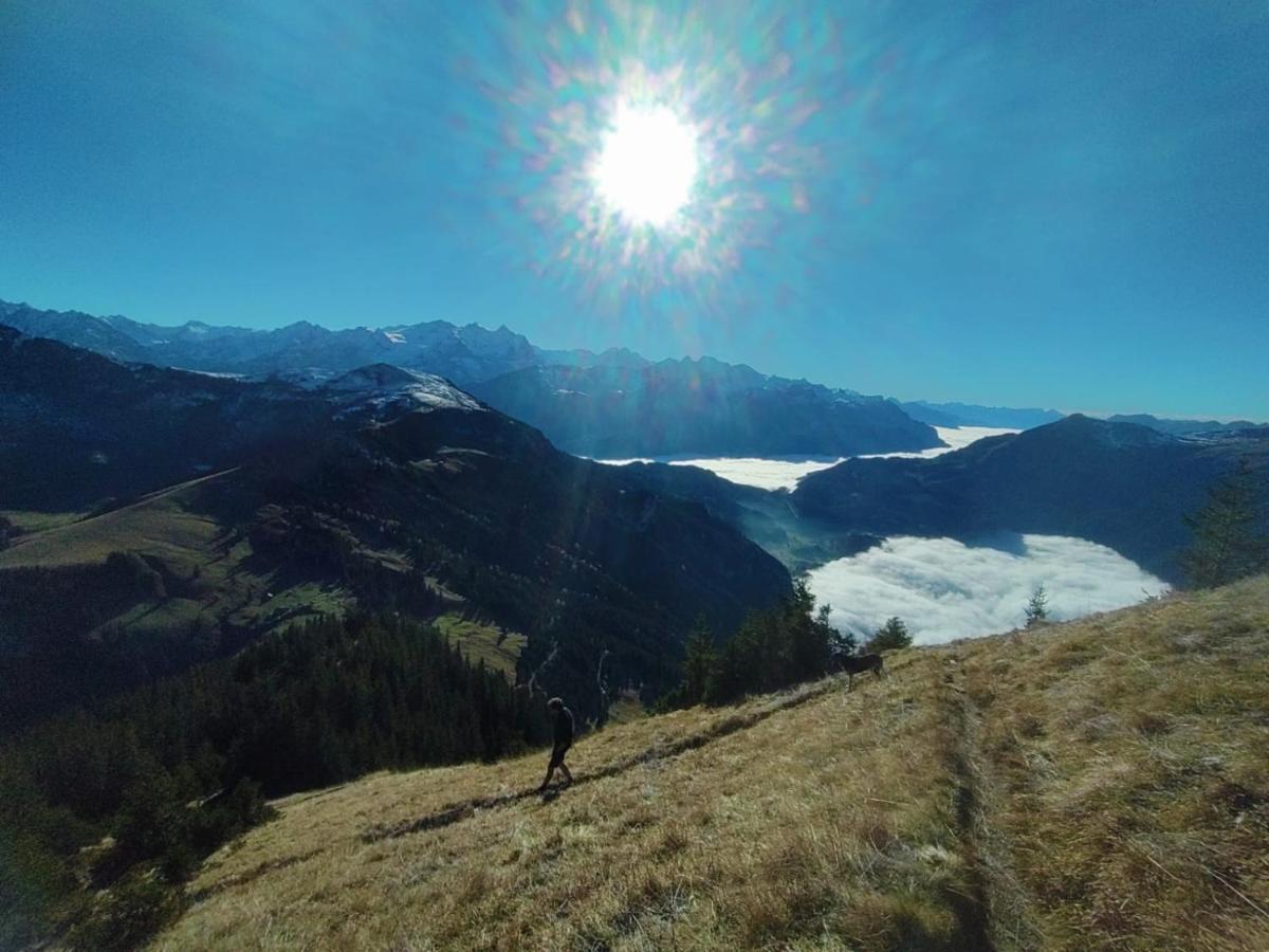 Kunst- Und Naturfreundehaus Bruenig Lungern ภายนอก รูปภาพ