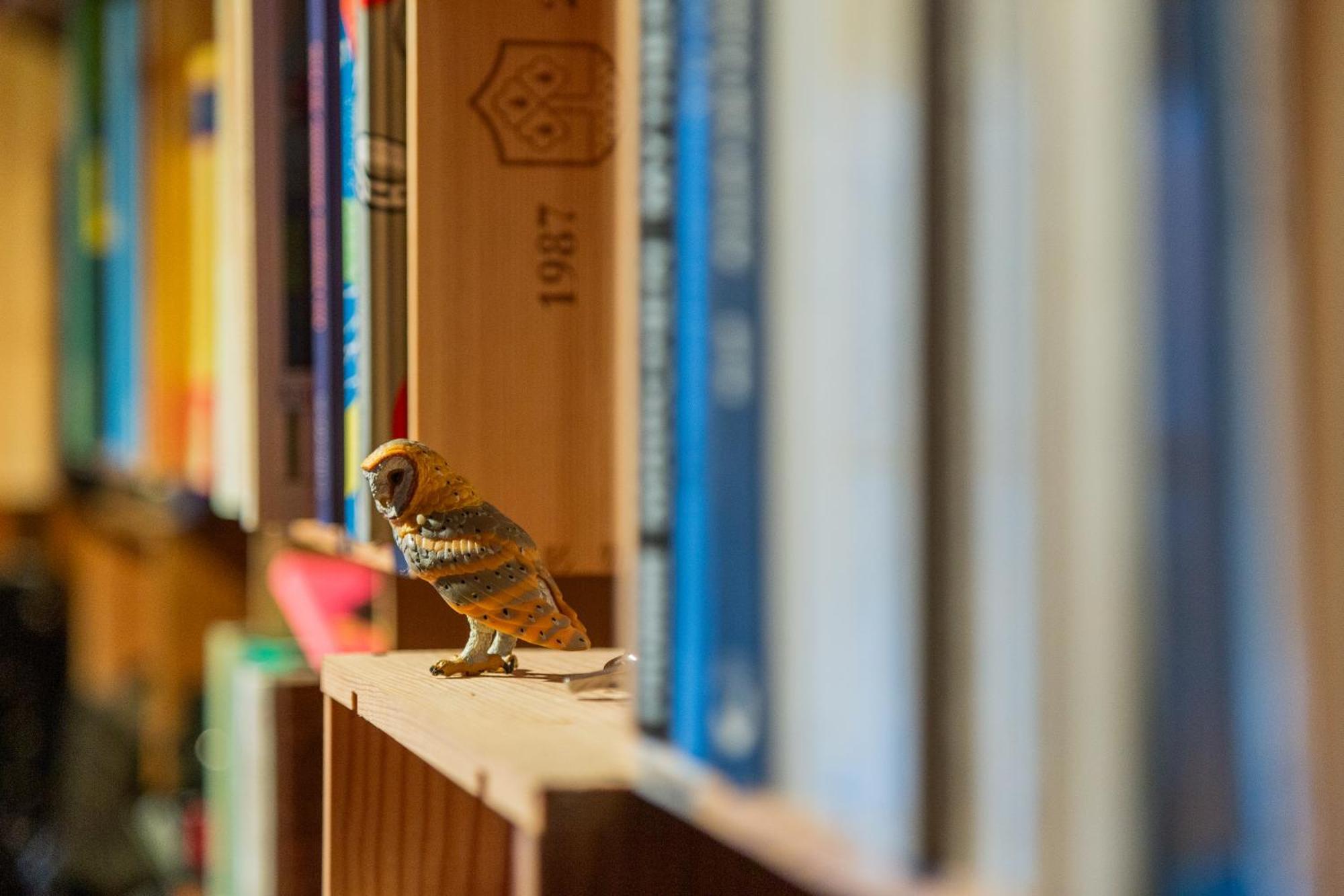 Kunst- Und Naturfreundehaus Bruenig Lungern ภายนอก รูปภาพ