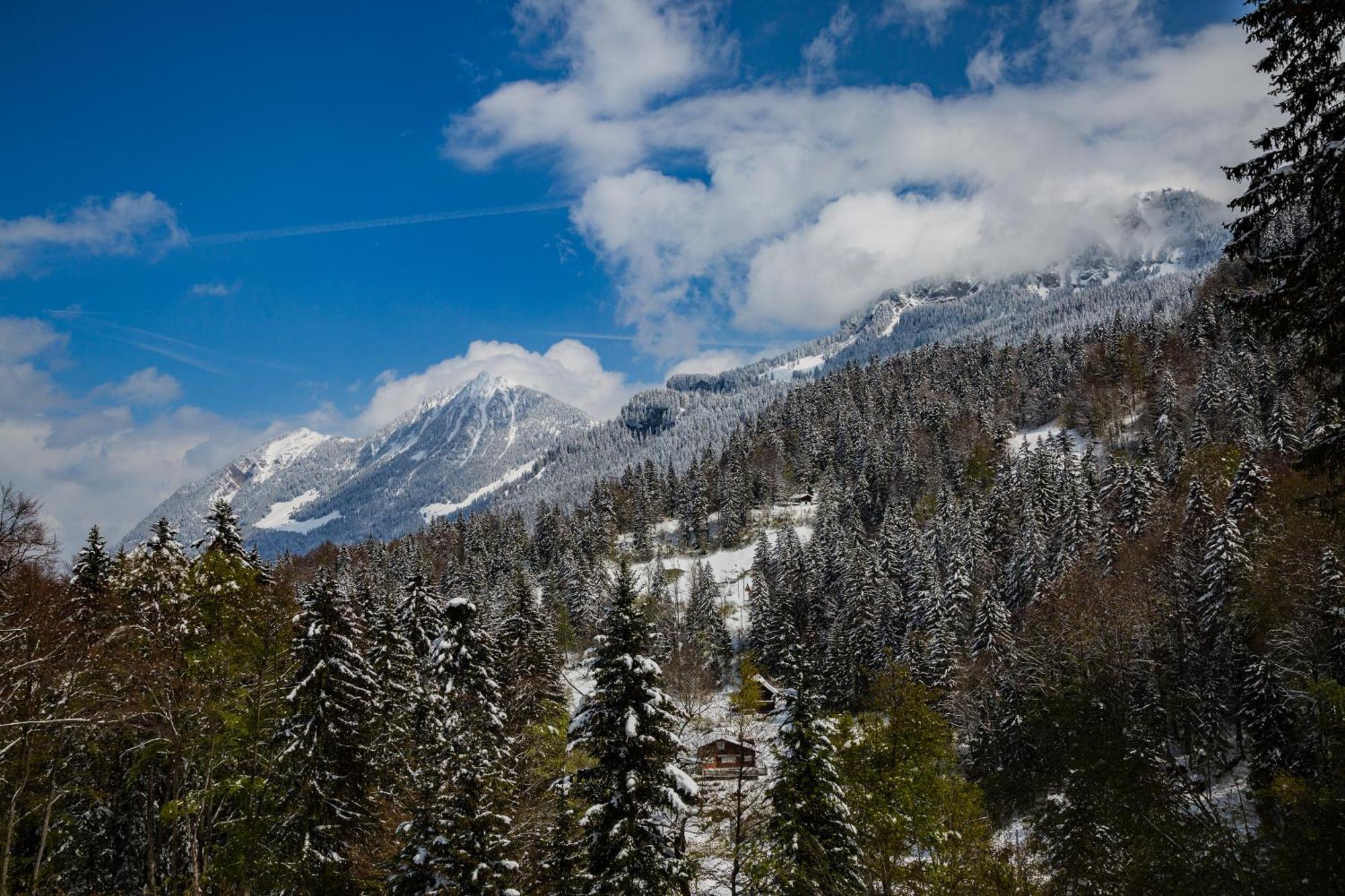 Kunst- Und Naturfreundehaus Bruenig Lungern ภายนอก รูปภาพ