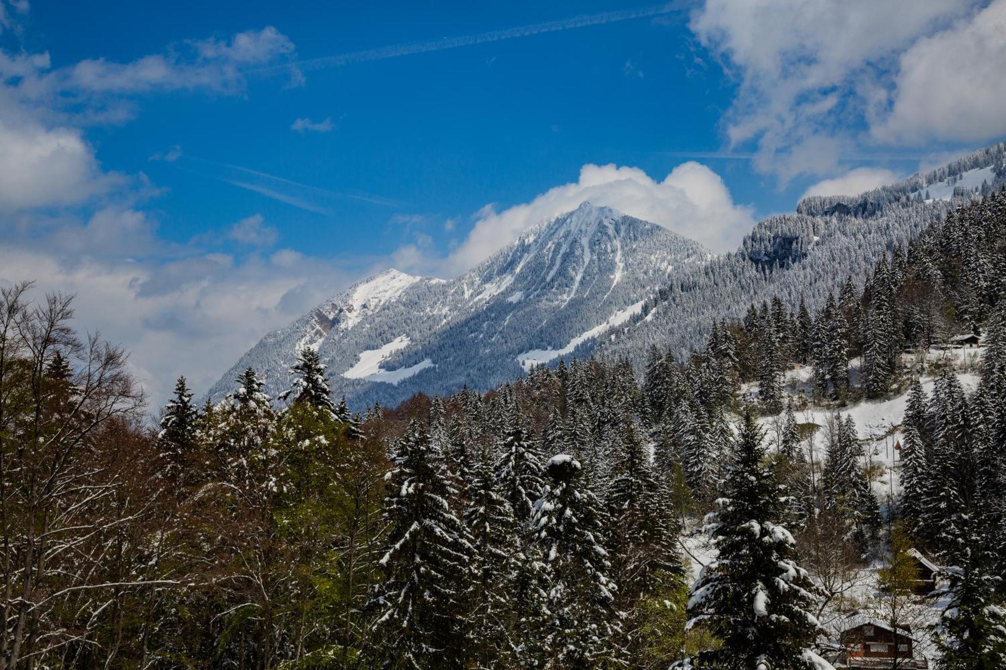 Kunst- Und Naturfreundehaus Bruenig Lungern ภายนอก รูปภาพ